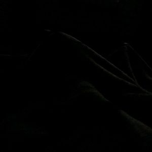 Meet your Posher, Marlene